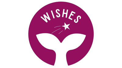 Wishes Cloth Wipe Solution